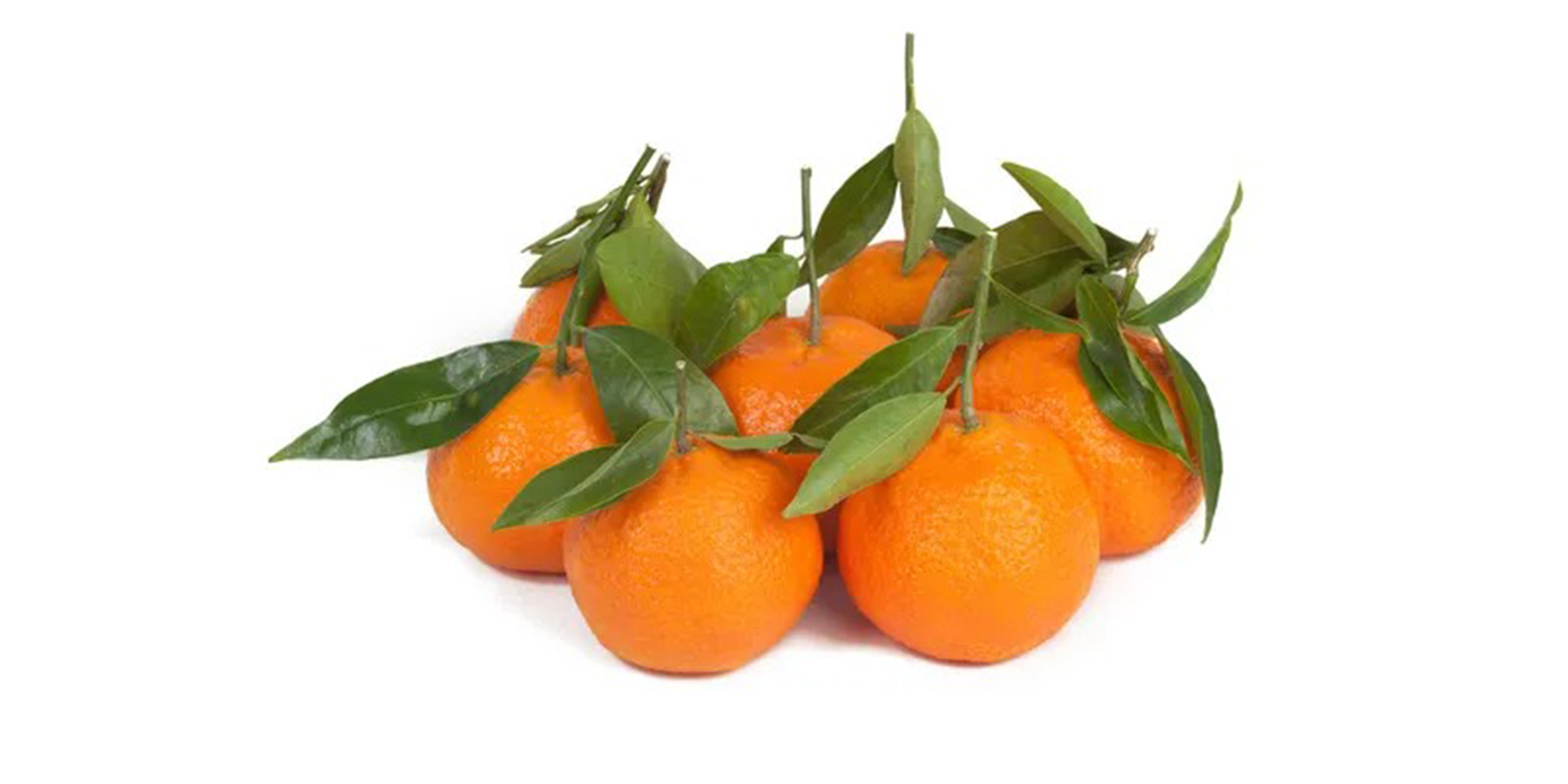 Mandalina